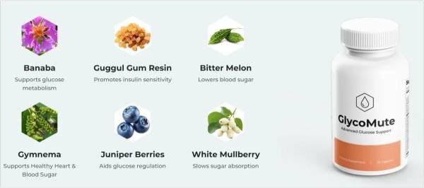 GlycoMute supplement ingredients badge showing 100% natural composition